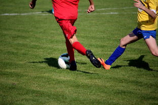 leyu乐鱼-国家队与俱乐部之间协调机制为何不顺畅，国家队比赛和俱乐部比赛冲突