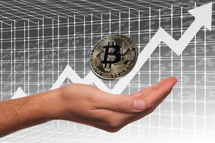 英超俱乐部母公司上市路径与股价波动分析，英超球队股份